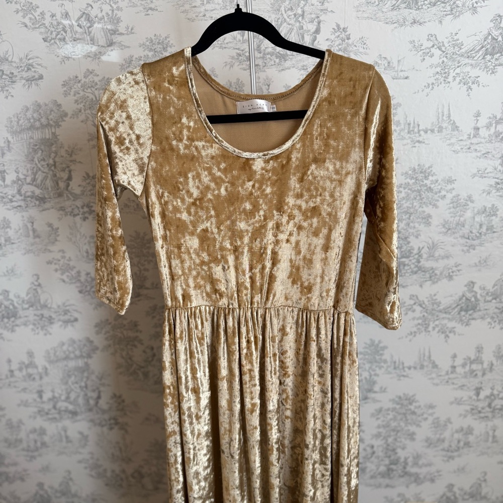 Sign Here Elegant Gold Velvet Dress